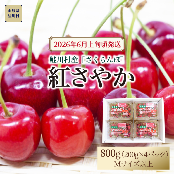 【令和8年産 早期受付】 鮭川村産さくらんぼ ＜紅さやか＞ M～Lサイズ混合 フードパック800g（200g×4P）