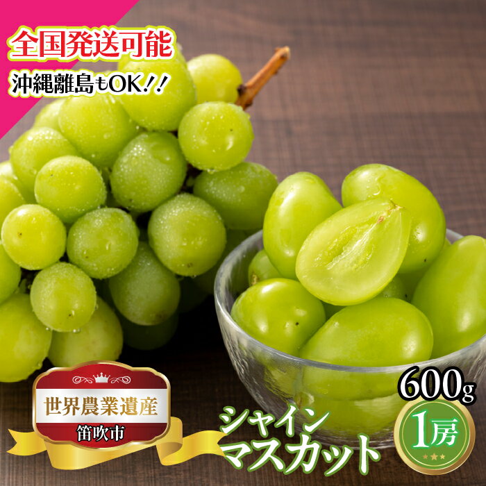 【ふるさと納税】【2026年発送★先行予約】山梨県笛吹市産　シャインマスカット1房 600g ふるさと納税 ぶどう シャインマスカット 笛吹市 国産 人気 期間限定 果物 フルーツ 旬 山梨県 送料無料 223-026