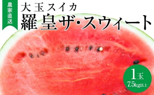 【2026年産先行予約】大玉スイカ『羅皇ザ・スウィート』（こちらの西瓜は大栄西瓜ではありません） ◇2025年7月上旬～7月中旬頃に順次発送【西瓜 すいか スイカ フルーツ 果物 鳥取県 北栄町 おすすめ 人気】