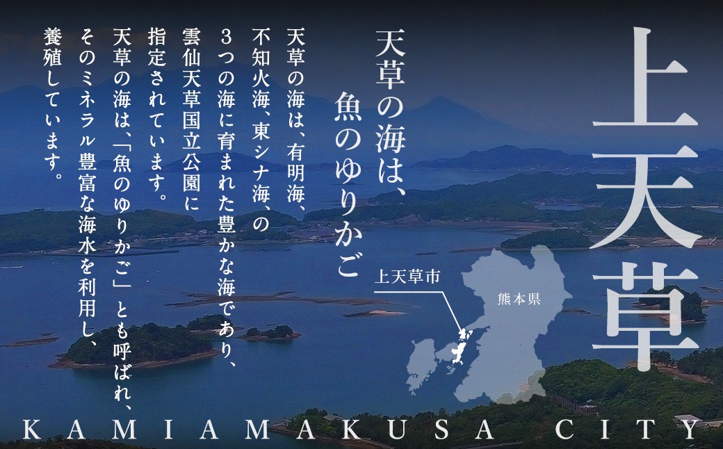 天草旬の味覚定期便2回天草とらふぐ＋天草藍うなぎ蒲焼
