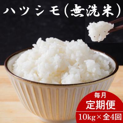 ふるさと納税 羽島市 【毎月定期便】岐阜県産ハツシモ(無洗米) 10kg全4回