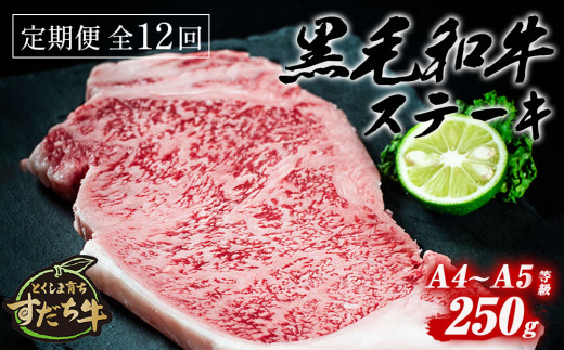 
定期便 12回お届け すだち牛黒毛和牛（ステーキ用）250g 合計3kg
