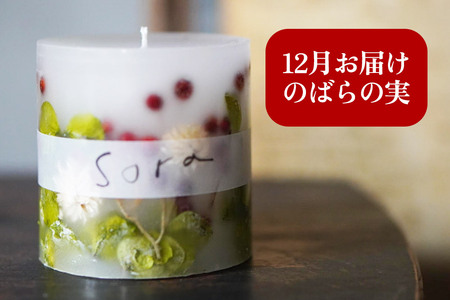 《定期便全4回》配送月固定 ボタニカル キャンドル  全4個（1個×4回お届け）【3ヶ月に1回お届け 3月 6月 9月 12月】