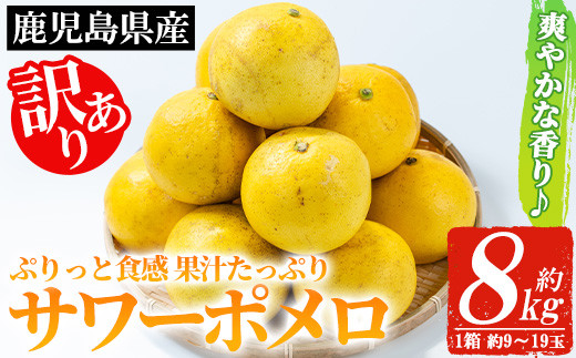 
                  【訳あり】2027年3月から発送予定！いちき串木野市特産サワーポメロ8kg箱（L～5Lサイズ／9玉～19玉）【00-039-08】
                