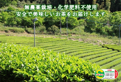 【無農薬栽培】基山茶特上煎茶3袋セット【お茶 緑茶 基山茶 基山町 特上 煎茶 旨み 渋み 美味しい 無農薬】 A3-A009002