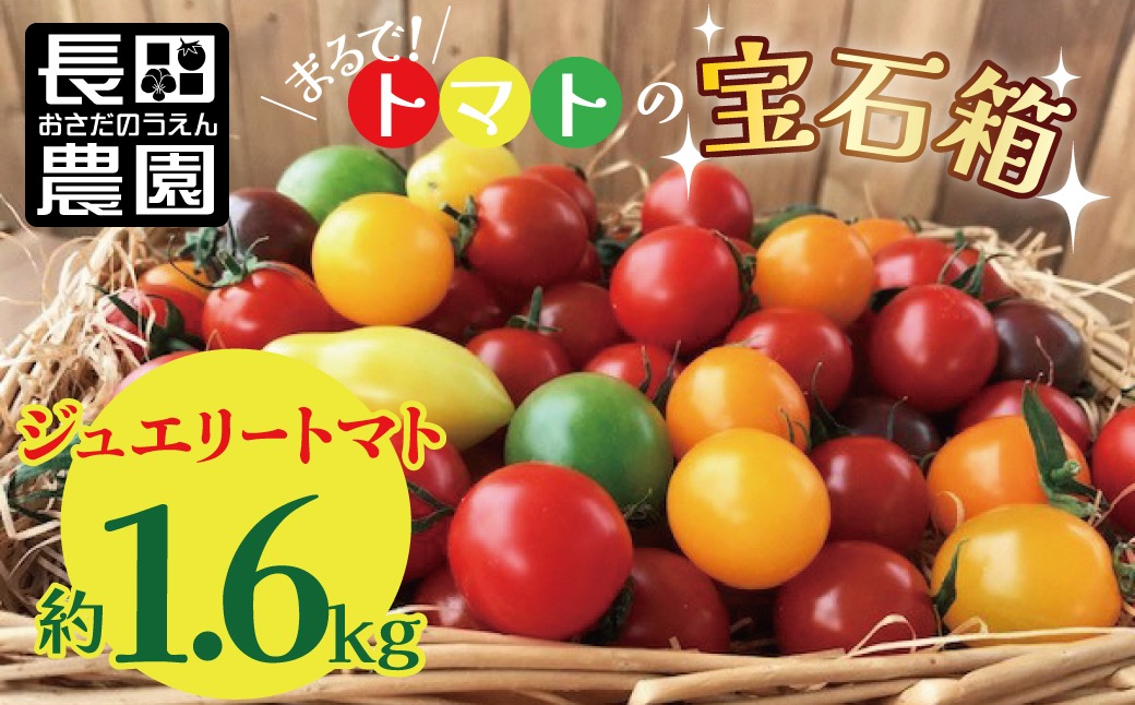 まるでトマトの宝石箱！フルーツジュエリートマト約1.6㎏ 長田農園 産地直送 トマト とまと 野菜 やさい フルーツ サラダ 濃厚 甘い ご褒美 プレゼント 美容 健康 リピート多数 人気 高評価 先行受付 数量限定 碧南市 H004-162