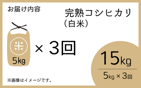 【先行予約】【令和7年産　新米】【3ヶ月定期便】くらもち完熟米 コシヒカリ 白米5kg×3回　計15kg【2025年10月より順次発送】ふるさと納税 毎月 小分け 米 5kg  15kg 3ヶ月 精米