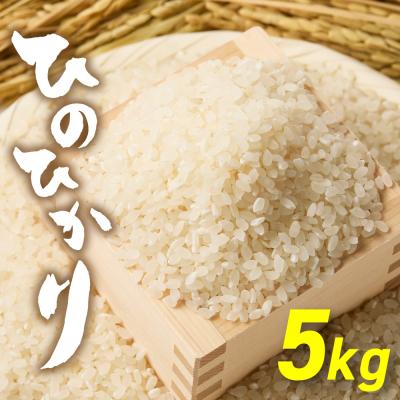 ふるさと納税 宗像市 「ひのひかり」5kg【ほたるの里】_HA1786