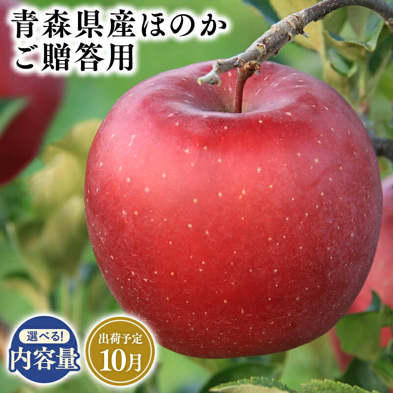 【ふるさと納税】2025年度産 先行予約!≪内容量が選べる≫青森県産 贈答用 ほのか 3kg 5kg 10kg【青森県 平川市 そと川りんご園】10月発送 贈答 青森 青森県産 平川 りんご リンゴ 林檎 くだもの 果物 フルーツ レビューキャンペーン