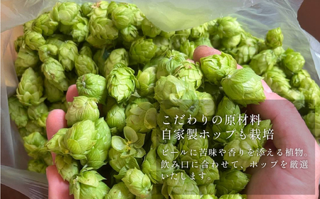 丹波路ブルワリー　クラフトビール　12本詰め合わせセット BN004-23