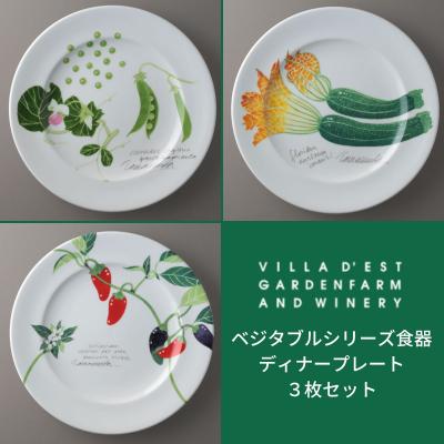 ふるさと納税 東御市 【ヴィラデストワイナリー】ベジタブルシリーズ食器　ディナープレート3枚セット
