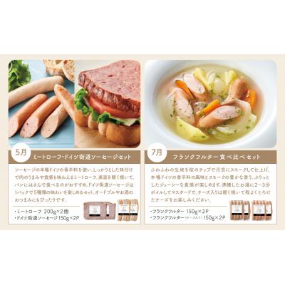 ふるさと納税 南さつま市 【定期便 全6回:奇数月発送】お肉のおかず定期便 [みなみさつまのミートデリ] |  | 02