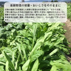 ＜京きさらぎ漬 えんけい＞季節の漬物 詰め合わせ（8～10種）《京漬物 京野菜 漬物 丹波 京野菜 漬物 野菜 漬物 京都 漬物 詰め合わせ 亀岡 漬物》    