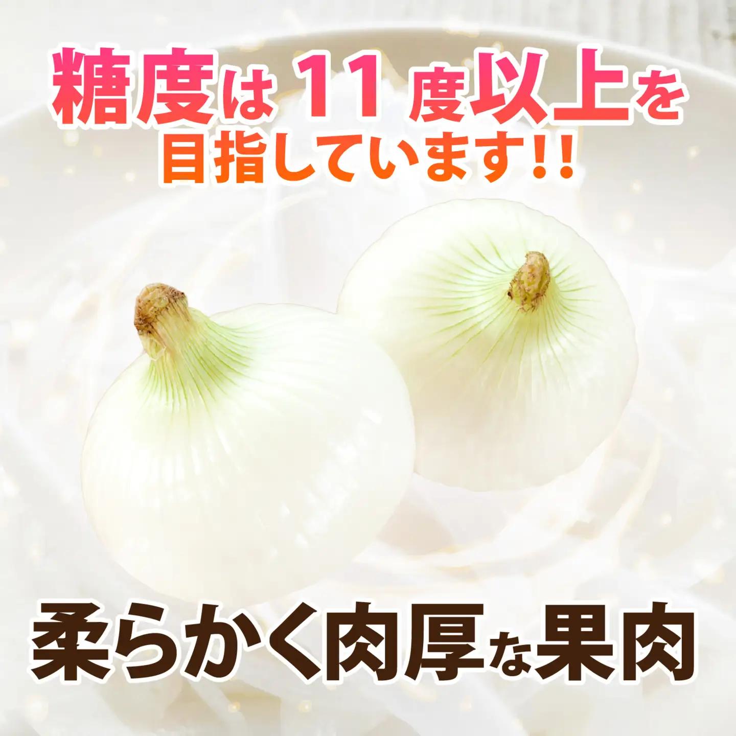 【先行予約】新玉ねぎ 4kg 淡路島 不揃い / フルーツ玉ねぎ