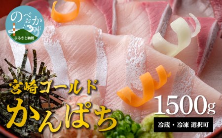 宮崎産 新海屋 鰤屋金太郎 宮崎ゴールドカンパチ 1500g　冷凍　N018-ZC112_2