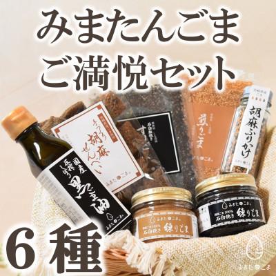 ふるさと納税 三股町 みまたんごま御満悦セット(6種)【B-1402】