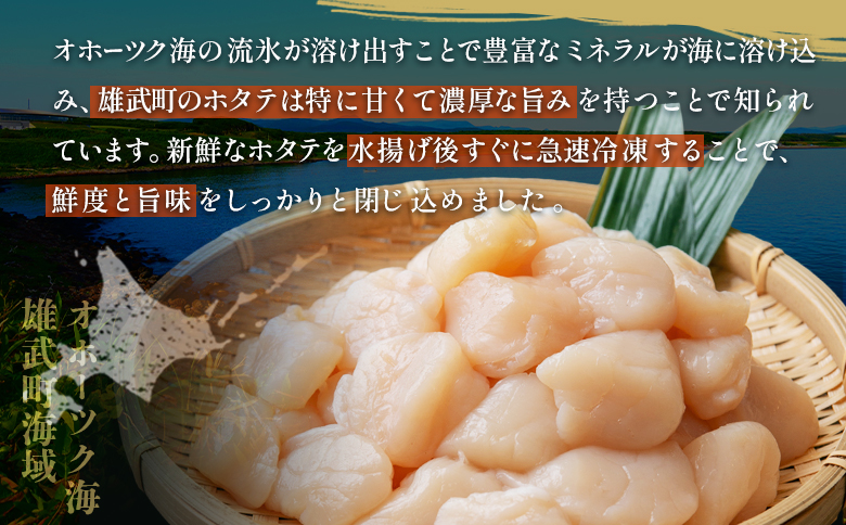 北海道雄武町産　ほたて貝柱(冷凍)Bフレーク 1kg[訳あり品]【1235601】