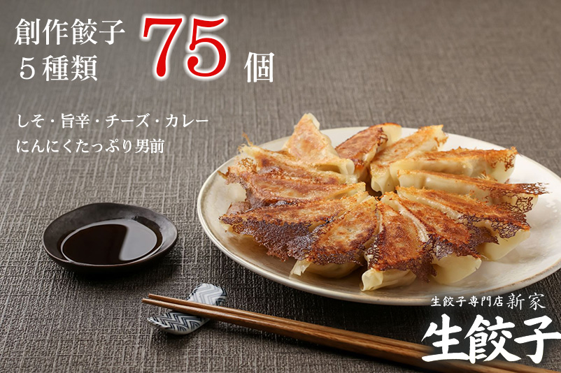 【3ヶ月定期便】生餃子専門店「新家」の生餃子100個・創作餃子5種類75個・大きなしゅうまい25個