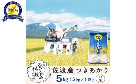 【新米予約】佐渡島産つきあかり 白米5Kg 令和7年 ～農薬5割減～農家直送