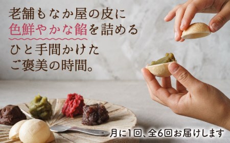 【全6回定期便】【 贈答用にも 】 糸モナカ 4種 8個 セット 糸島市 / わかまつ農園[AHB048]