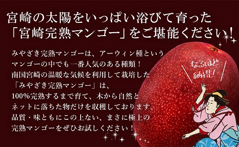 《2025年発送先行予約》【期間・数量限定】おがたのマンゴー 宮崎完熟冷凍マンゴー 1玉分(600g以上) 贈答品 小分けパック