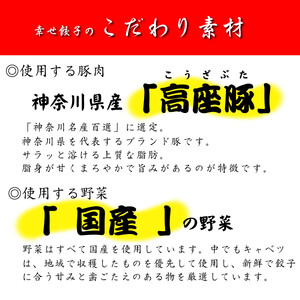 幸せ餃子 ボリューム満点こだわり大餃子（10個入2箱）