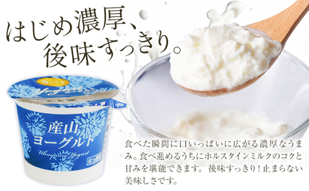 ホルスタインミルク 100％ 使用 産山ヨーグルト15個 株式会社UBUYAMAPLACE《30日以内に出荷予定(土日祝除く)》熊本県 阿蘇郡 産山村 ヨーグルト 乳製品 ホルスタイン 朝食 おやつ 