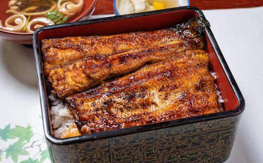 
            静岡産うなぎ蒲焼真空パック 約120g×3枚
          