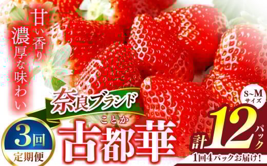 【定期便3回】いちご 平群の古都華 S～Mサイズ 4パック（2パック×2ケース）| フルーツ 果物 くだもの ブランド いちご 苺 古都華 ことか 希少 希少品種 ストロベリー 産地直送 農家直送 名産地 奈良県 平群町