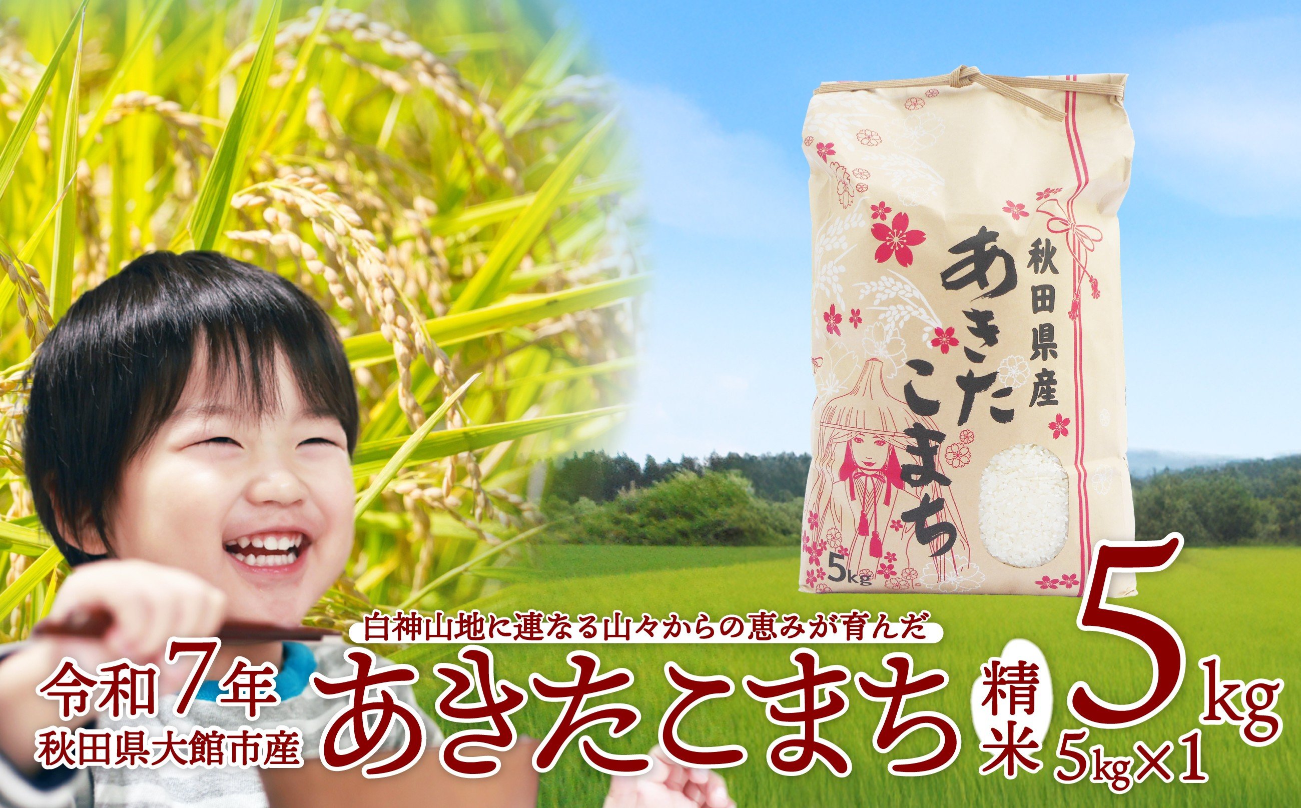 
                  【令和7年産】あきたこまち(精米)5kg（5kg×1袋）50P9026 / 米 5kg 白米 令和7年産 秋田県産 あきたこまち おにぎり 大館 東北 秋田 大館市 おおだて 有機肥料 おこめ お米 精米 白米 ブランド米 ごはん ご飯 弁当 
                