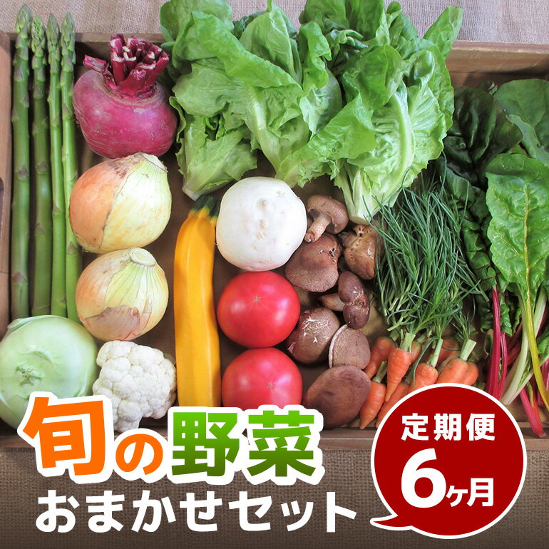 【ふるさと納税】旬の野菜・定期便（6か月）【配達不可：北海道・沖縄・離島】 セット 詰合せ 6ヶ月 6回