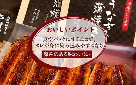 【 うなぎの蒲焼き 】 うなぎの蒲焼き 2尾