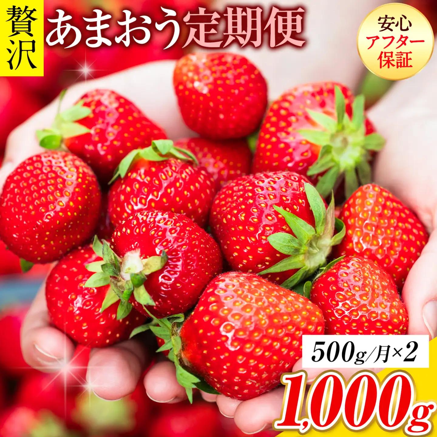 【2ヶ月定期便】あまおう 500g いちご