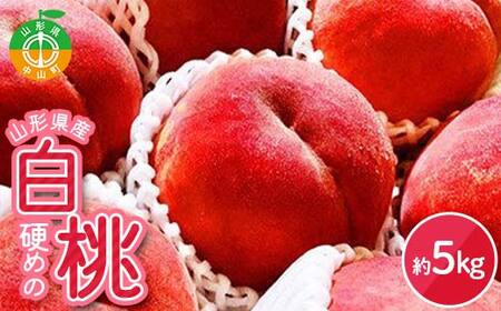 《2026年産 先行受付》山形県産 硬めの白桃 約5kg 品種おまかせ 果物 くだもの 桃 もも フルーツ 白桃 山形県産 F4A-0973