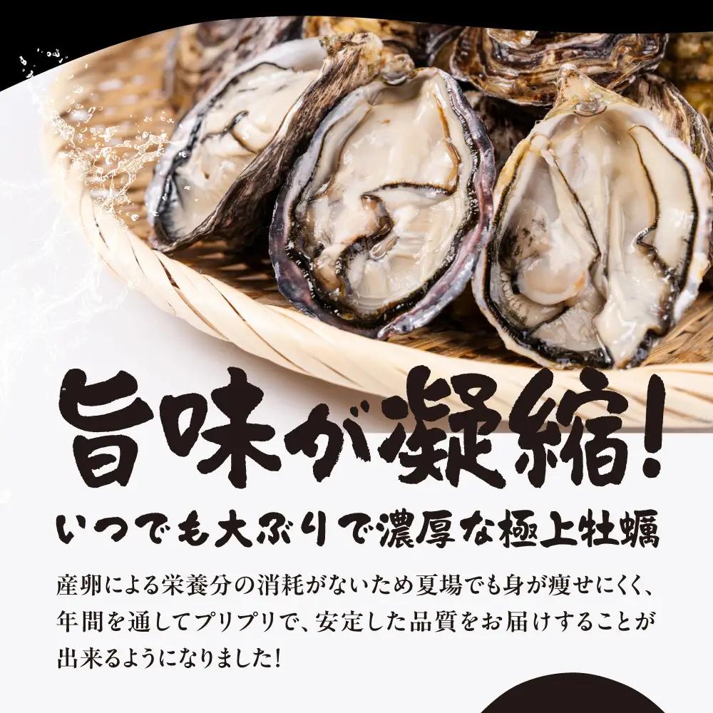 【数量限定】殻付き 生牡蠣（加熱用）3kg　| 軍手・牡蠣ナイフ付