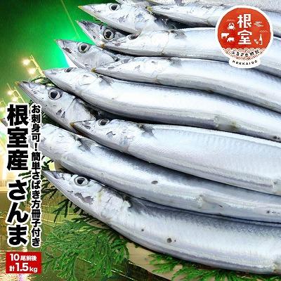 ふるさと納税 根室市 【12/31決済分まで1月配送】★【生食可】さんま10尾前後入(計1.5kg) G-58001