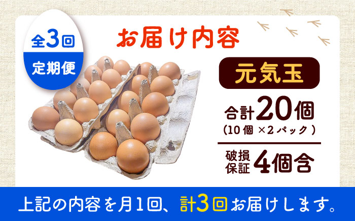 【全3回定期便】平飼い新鮮たまご　元気玉 計20個(10個×2パック) / 卵 ぷりぷり 新鮮 玉子 オムレツ たまごかけごはん 朝食 鶏卵 平飼い 濃厚 こく 熊本県 菊陽町【ぴよっこファーム】 [