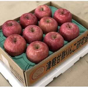 (先行受付品　令和7年12月以降発送)青森県産りんご3kg【1660833】