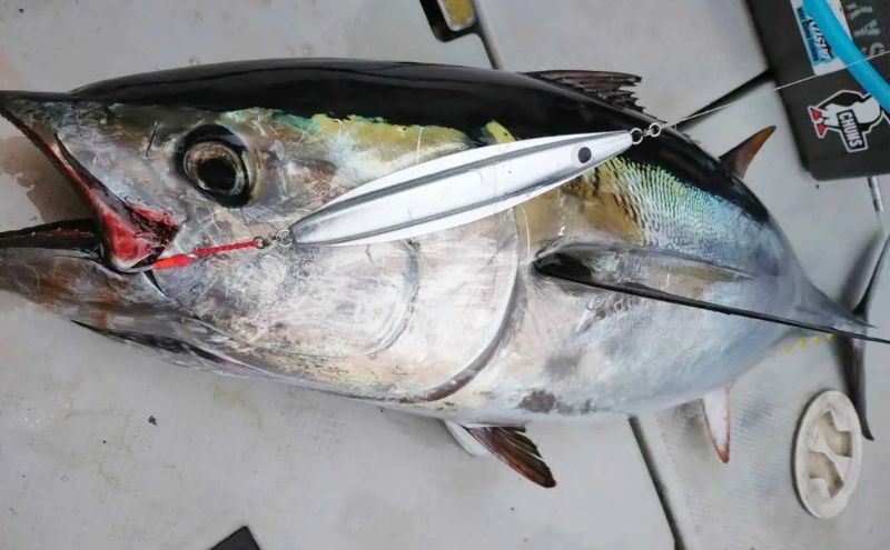 シリテンジグ220エンペラー　７本セット