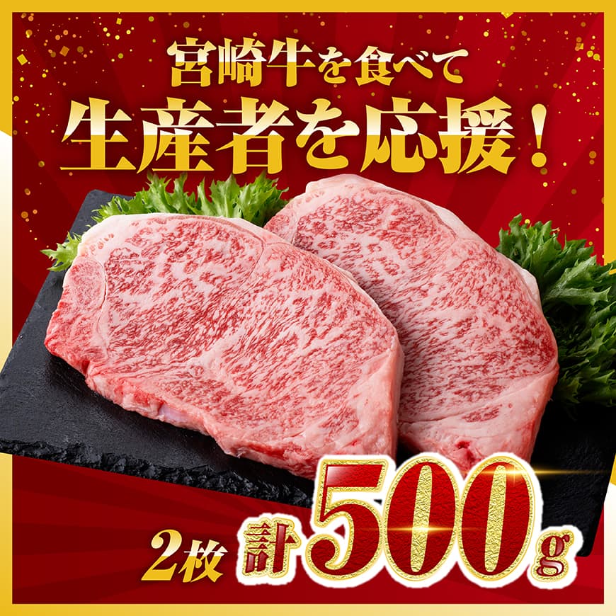 《数量限定》 宮崎牛ロースステーキ2枚 (500g) 肉 牛 牛肉 宮崎牛 牛肉ステーキ BBQ牛肉 アウトドア牛肉 数量限定牛肉 送料無料牛肉 [D0602]