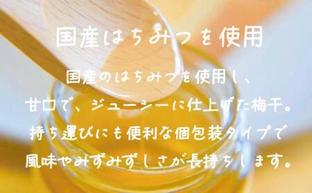 はちみつ梅干　フレッシュ感そのまま個包装タイプ　14g(2L)×60粒　紀州南高梅　完熟うめ　塩分約5％ A-039a