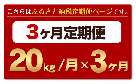 令和6年産 新米 【3ヶ月定期便】 ひのひかり 白米 20kg 5kg×4袋 計3回お届け 熊本県産 こめ コメ 白米 精米 荒尾市 ひの 米 定期 《お申込み月の翌月から出荷開始》