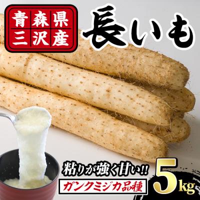 ふるさと納税 三沢市 <先行予約受付中!R8年8月下旬以降順次発送予定>青森県三沢市産 長いも (5kg)