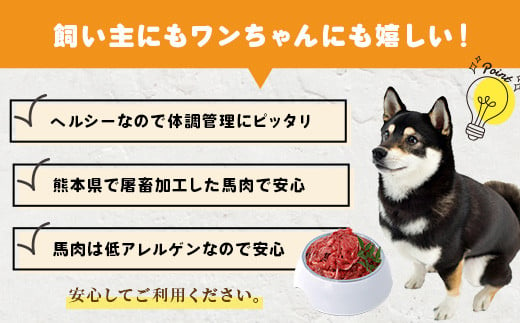 【定期便6回】熊本県内加工 ペットフード セット《 馬肉 切り落とし 1kg & 馬刺し ジャーキー 100g》×6回