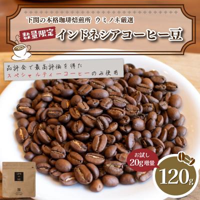 ふるさと納税 下関市 【豆】 訳あり コーヒー豆 お試し 120g 数量限定 インドネシア EW152-E