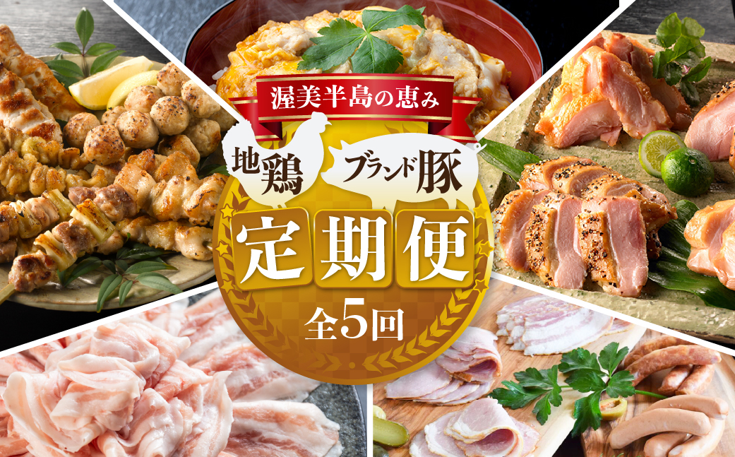 
渥美半島の恵み ブランド豚・地鶏 定期便 全5回 ( 名古屋コーチン 親子丼 ブランド豚 ハム ソーセージ 田原ポーク 地鶏 焼き鳥 焼鳥 やきとり しゃぶしゃぶ 豚肉 豚 小分け 個包装 食べ比べ 冷凍 人気 セット ） 頒布会
