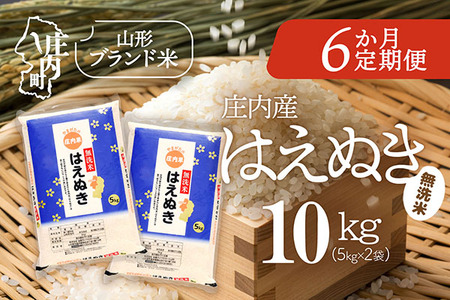 【6か月定期便】庄内米 はえぬき 無洗米 10kg 毎月 5kg×2袋 令和7年産 / 令和8年産 余目産 あまるめ ブランド米 米 山形 庄内平野 亀の尾発祥の地 庄内 お米の定期便【8月中旬発送/入金期限：2026年7月25日】