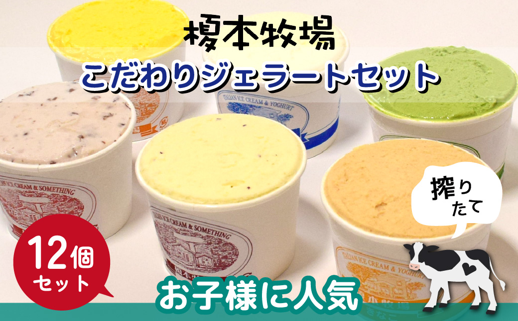 榎本牧場のこだわりジェラート お子様に人気セット 12個 (ミルク、チョコチップ、イチゴミルク、生チョコ、クッキー＆ミルク、キウイミルク) | 埼玉県 上尾市 アイス スイーツ デザート 夏 涼 新鮮