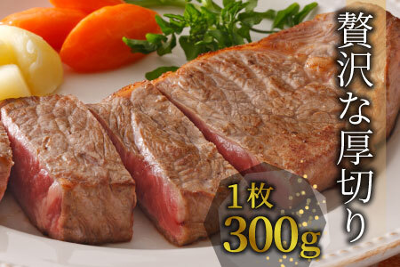 最高5等級 飛騨牛 厚切りロースステーキ 1.5kg 300g×5枚 牛肉 和牛 肉 ロース ステーキ 東白川村 岐阜 贅沢 霜降り A5 5等級 厚切り 養老ミート