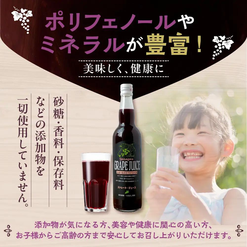 美味しい上山・山ぶどうジュース（原液）５５０ｍｌ×２本　0140-2610